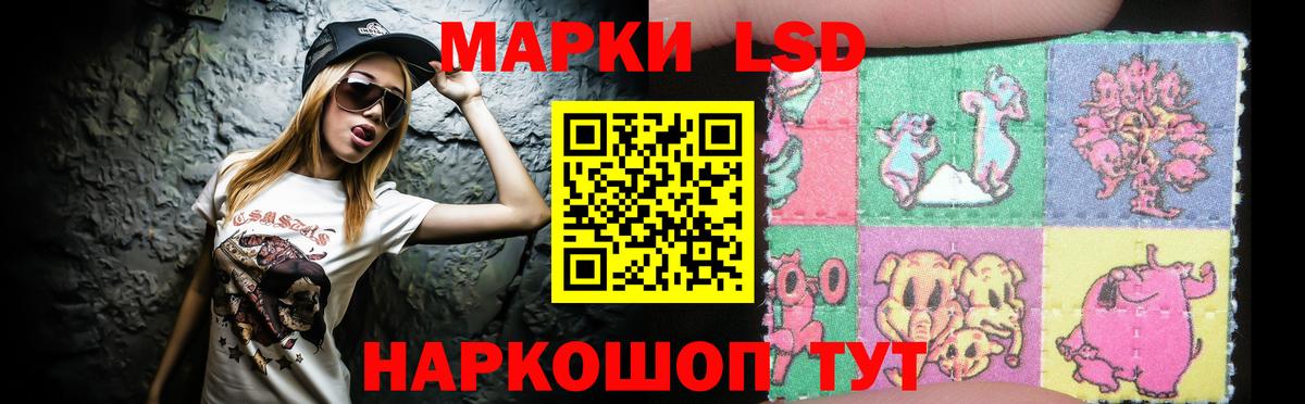OMG как войти  ЛСД экстази ecstasy  Лсд 25 экстази ecstasy  Вход с VPN  Бийск 